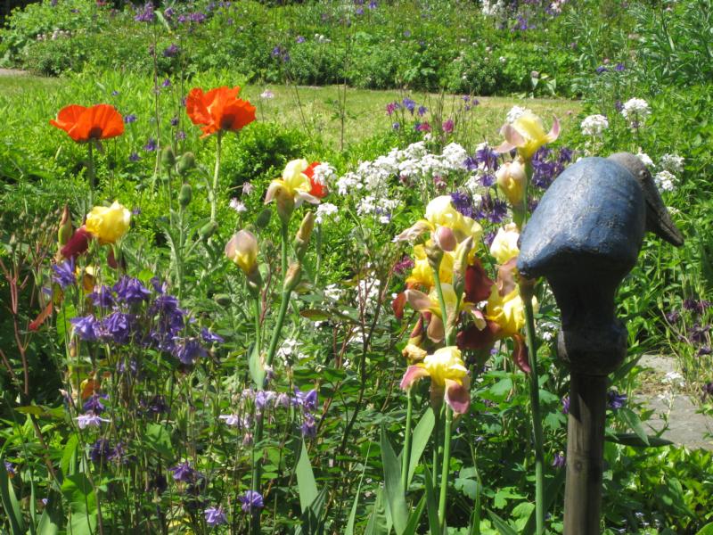 Gartenbau Staudengarten